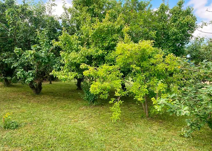 Apartment Via Street 3000