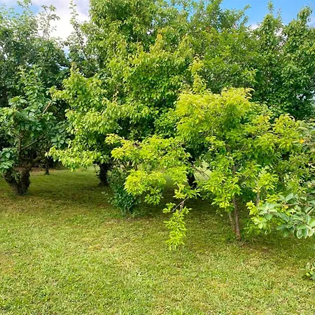 Appartement Via Street 3000