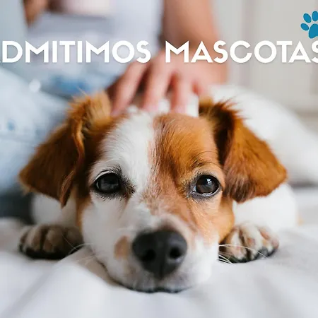 Via Street 3000 Hinojedo